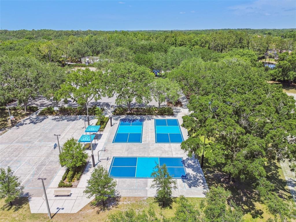 4320 Auston Way Palm Harbor, FL 34685 - Photo 94 of 100