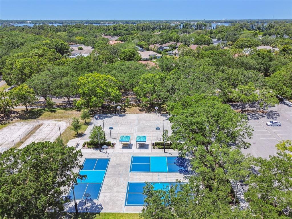 4320 Auston Way Palm Harbor, FL 34685 - Photo 96 of 100