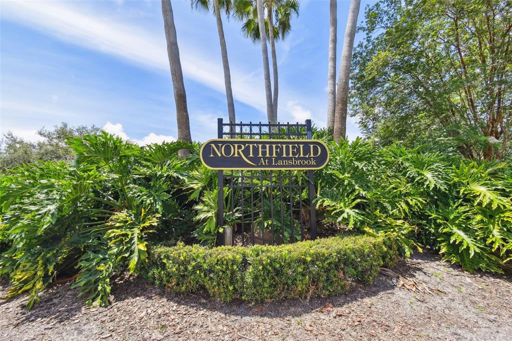 4320 Auston Way Palm Harbor, FL 34685 - Photo 99 of 100