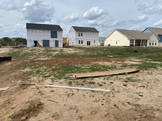 425 Eva Street Moncks Corner, SC 29461 - Photo 10 of 30 Lot 53 Backyard