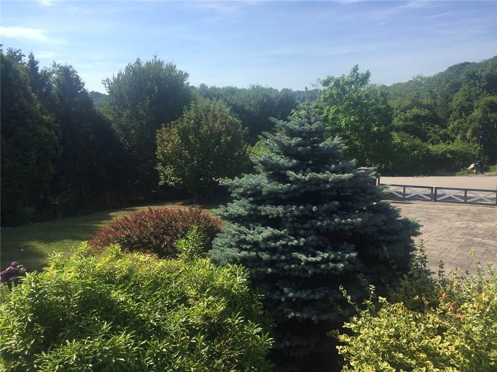 1 Ocean Heights Road Newport, RI 02840 - Photo 9 of 34 Woodland view from front porch.