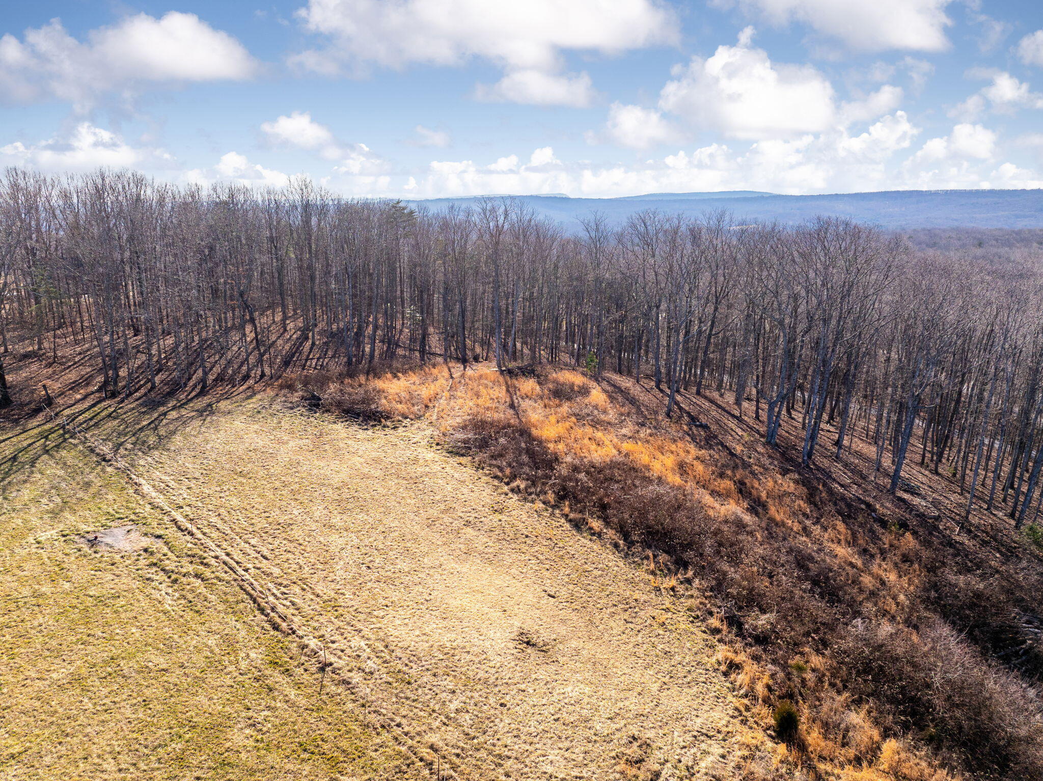 3734 Hendon Road Graysville, TN 37338 - Photo 11 of 14 23-web-or-mls-DJI_20260209153213_0985_D