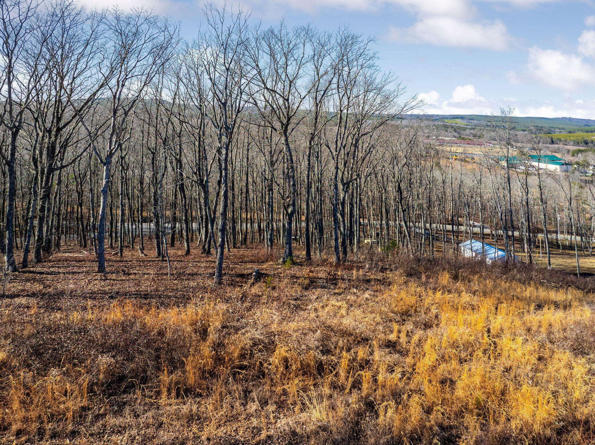 3734 Hendon Road Graysville, TN 37338 - Photo 12 of 14 26-web-or-mls-DJI_20260209153128_0982_D