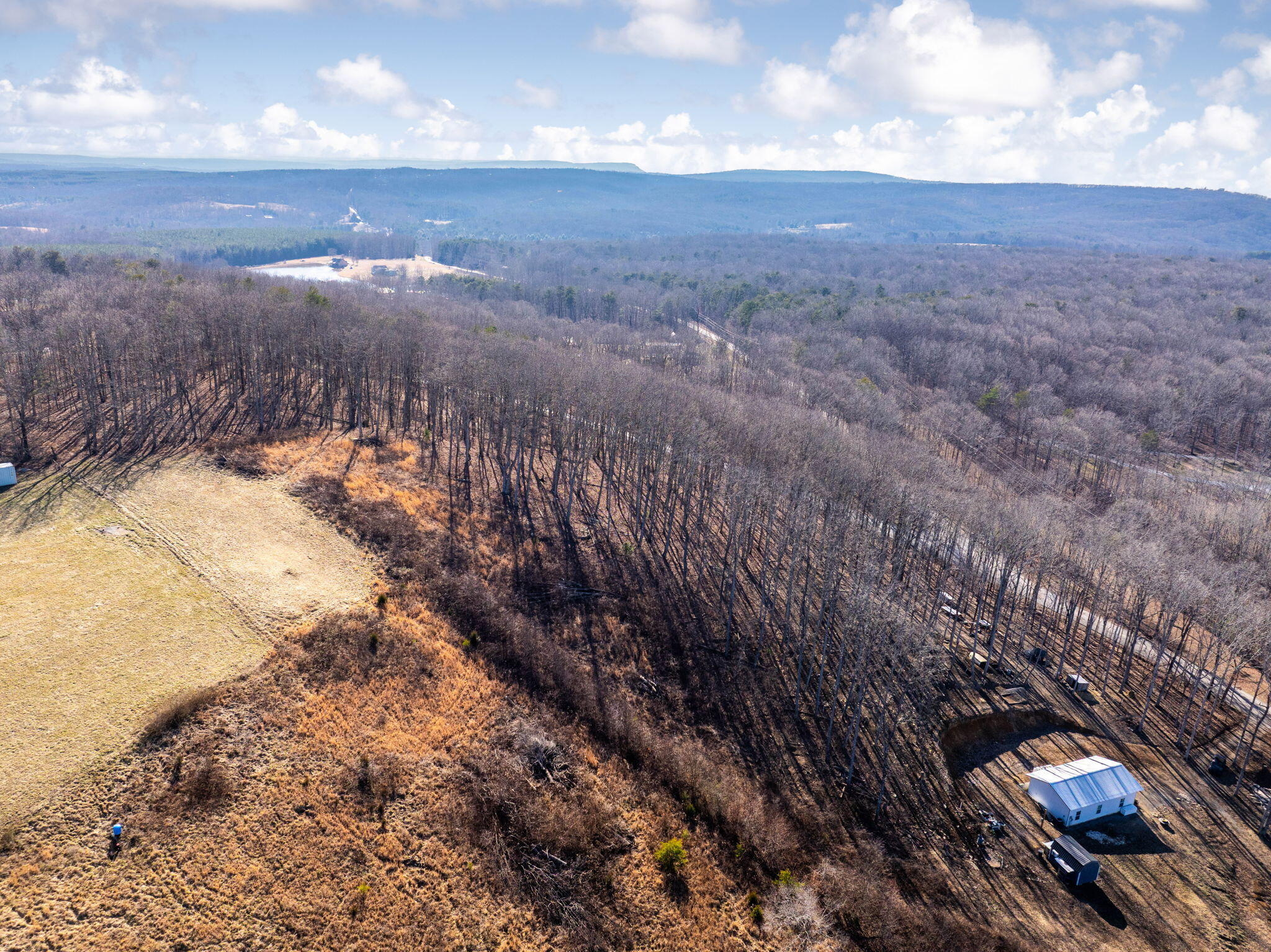 3734 Hendon Road Graysville, TN 37338 - Photo 10 of 14 22-web-or-mls-DJI_20260209153227_0986_D