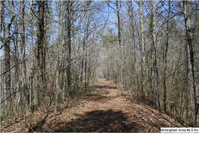 Narrows Road, Unit 168 Remlap, AL 35133 - Photo 16 of 21