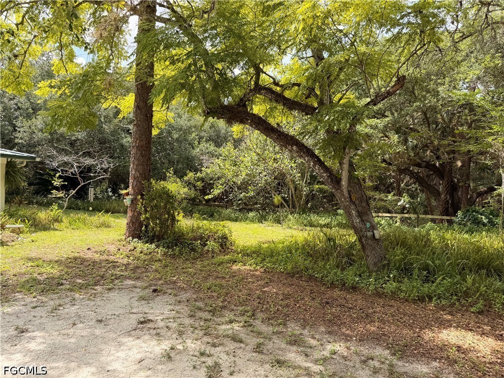 18251 Persimmon Ridge Road Alva, FL 33920 - Photo 7 of 16