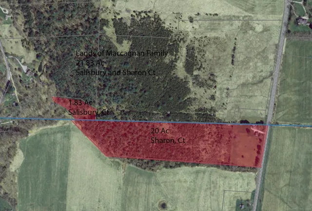 a view of a wooden bench with a yard