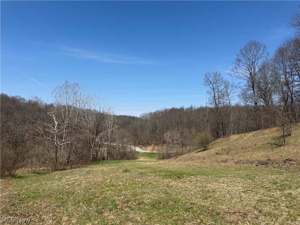 0 Kragel Road Richmond, OH 43944 - Photo 18 of 31