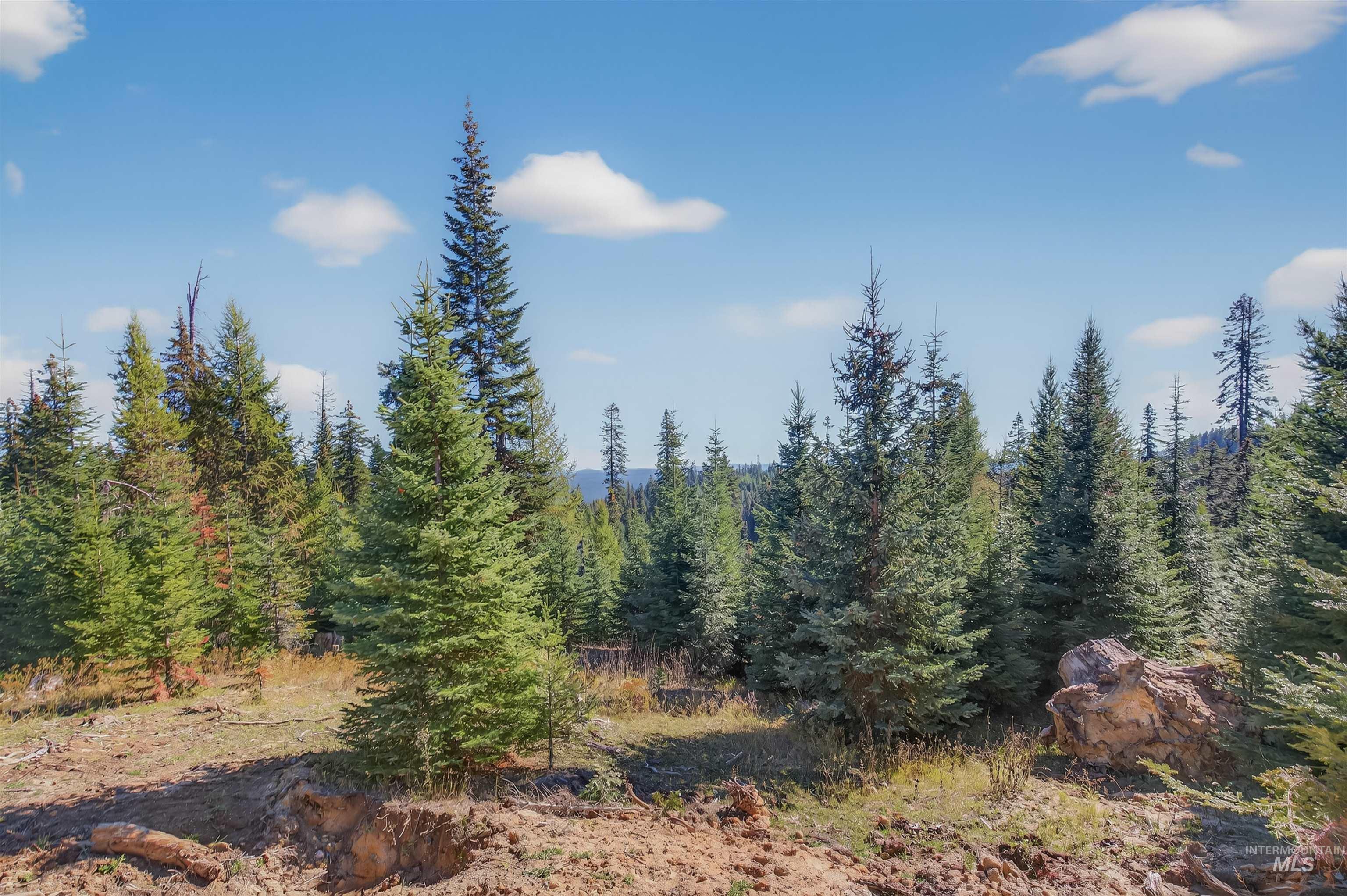 3 Tree Farm Trails Road Elk City, ID 83525 - Photo 13 of 17 View of tree filled area