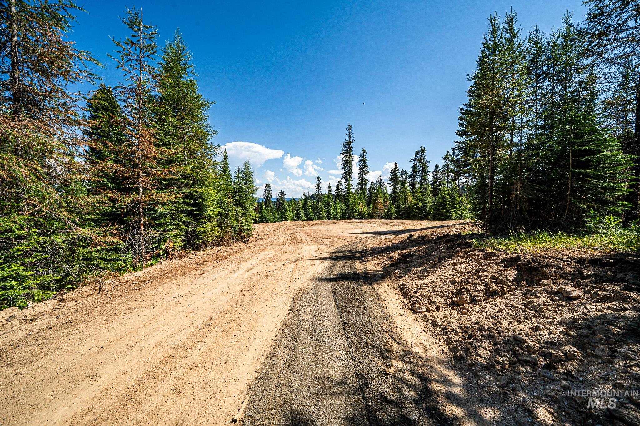 3 Tree Farm Trails Road Elk City, ID 83525 - Photo 6 of 17 View of dirt / gravel road