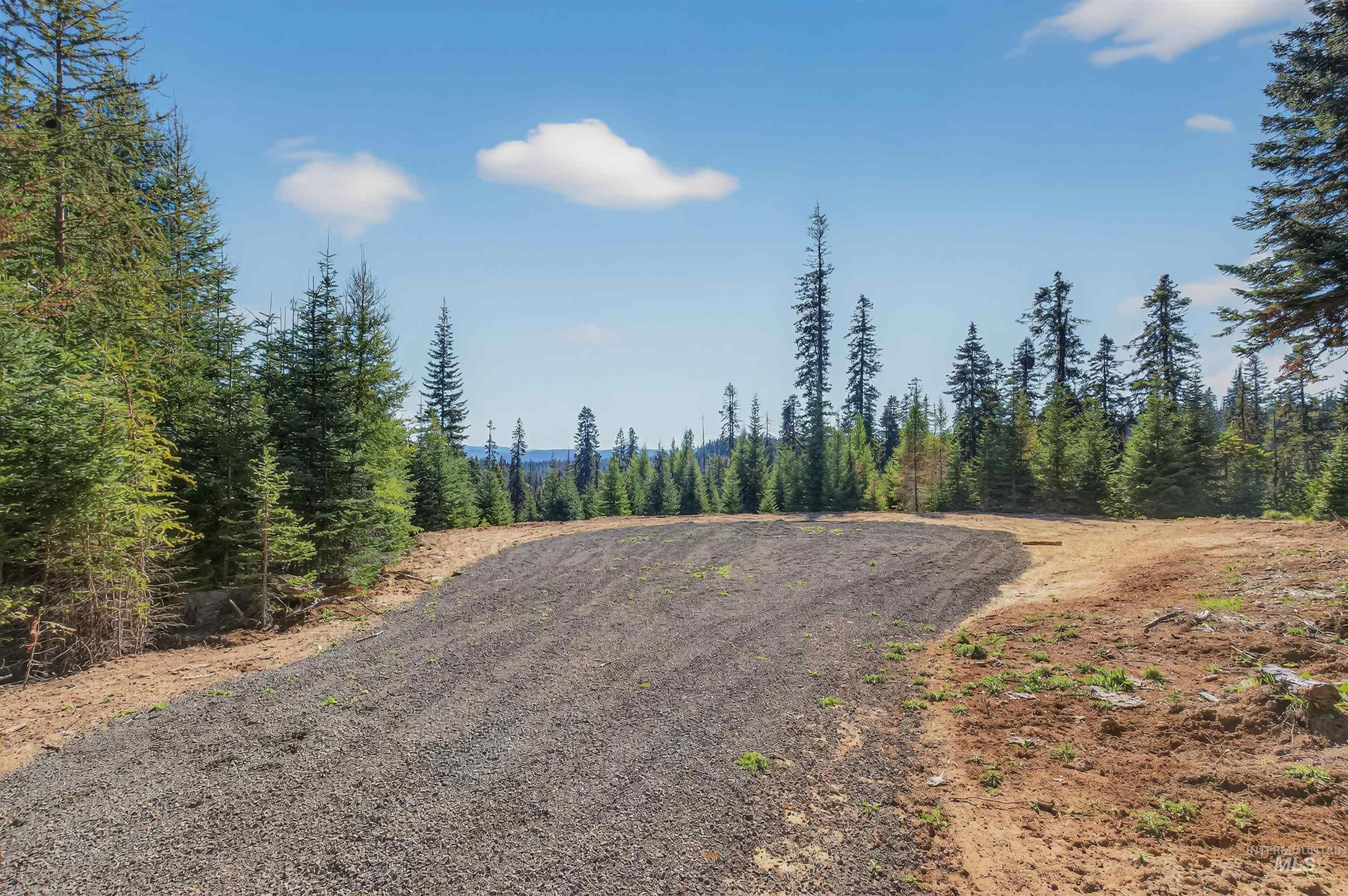 3 Tree Farm Trails Road Elk City, ID 83525 - Photo 7 of 17 View of dirt / gravel road featuring a forest view