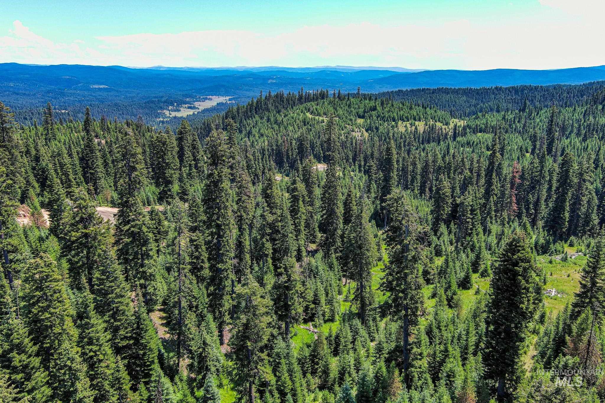 3 Tree Farm Trails Road Elk City, ID 83525 - Photo 9 of 17 Bird's eye view of a heavily wooded area and a mountainous background