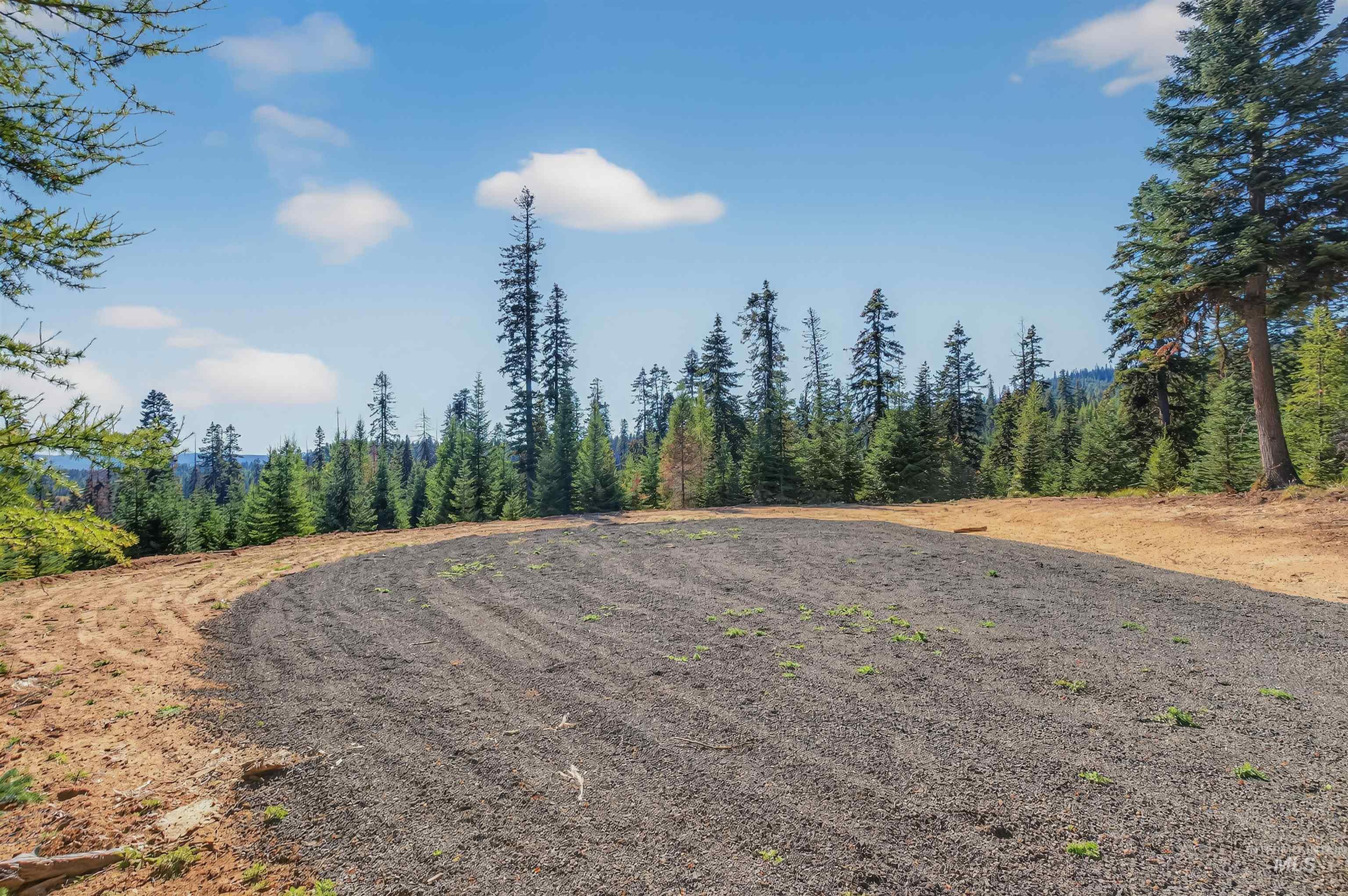 3 Tree Farm Trails Road Elk City, ID 83525 - Photo 10 of 17 View of yard with a wooded view