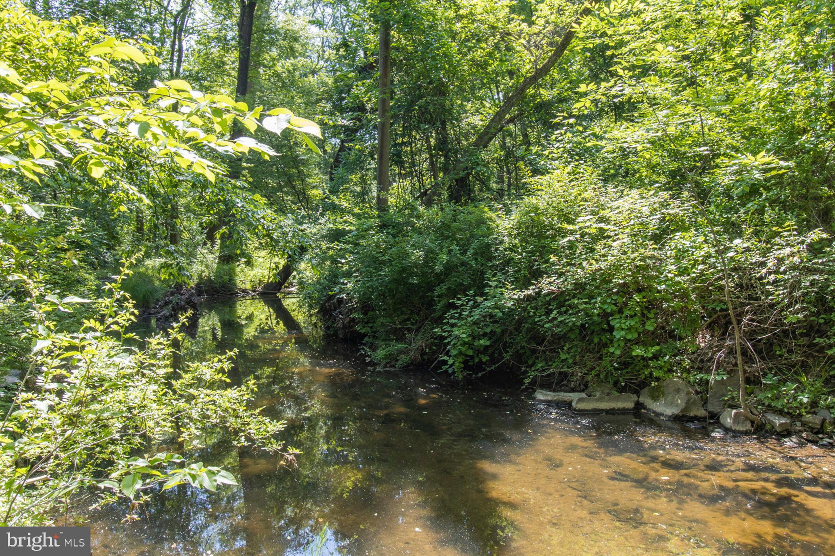 101 Morris Road Ambler, PA 19002 - Photo 51 of 54 Wissahickon Green Ribbon Trail (local access)
