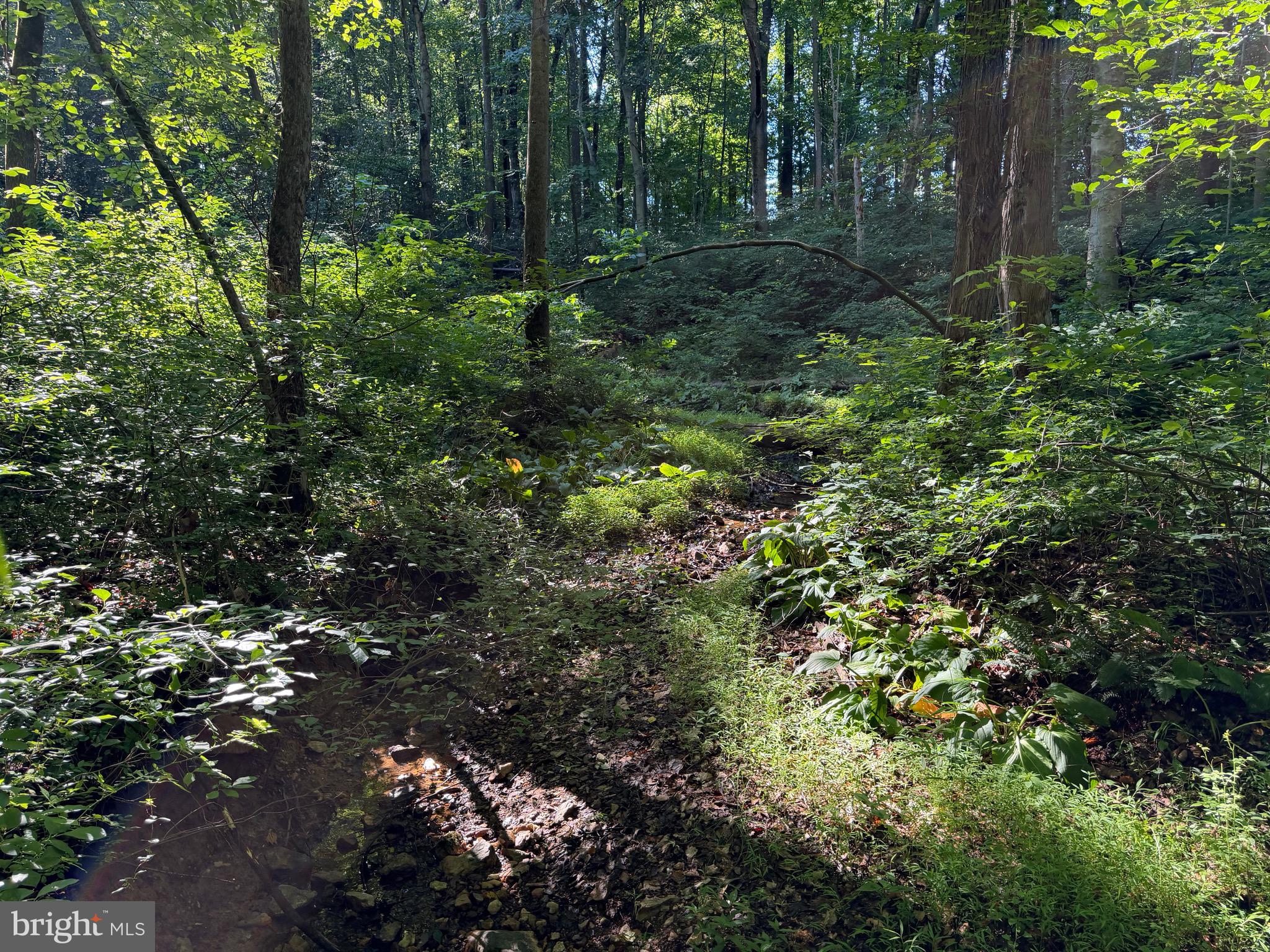 0 Rock Springs Road Conowingo, MD 21918 - Photo 76 of 79