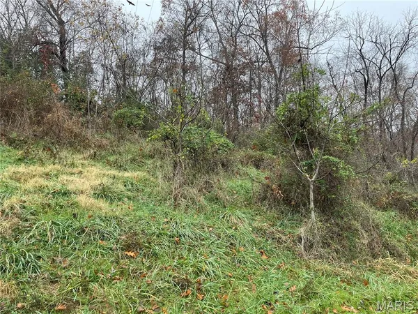 $52,500 | 410 Orchard Street, Williamsville, MO 63967
