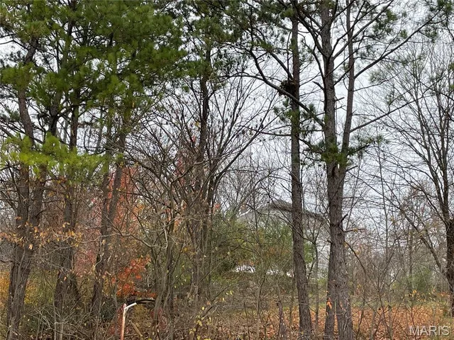 $52,500 | 410 Orchard Street, Williamsville, MO 63967