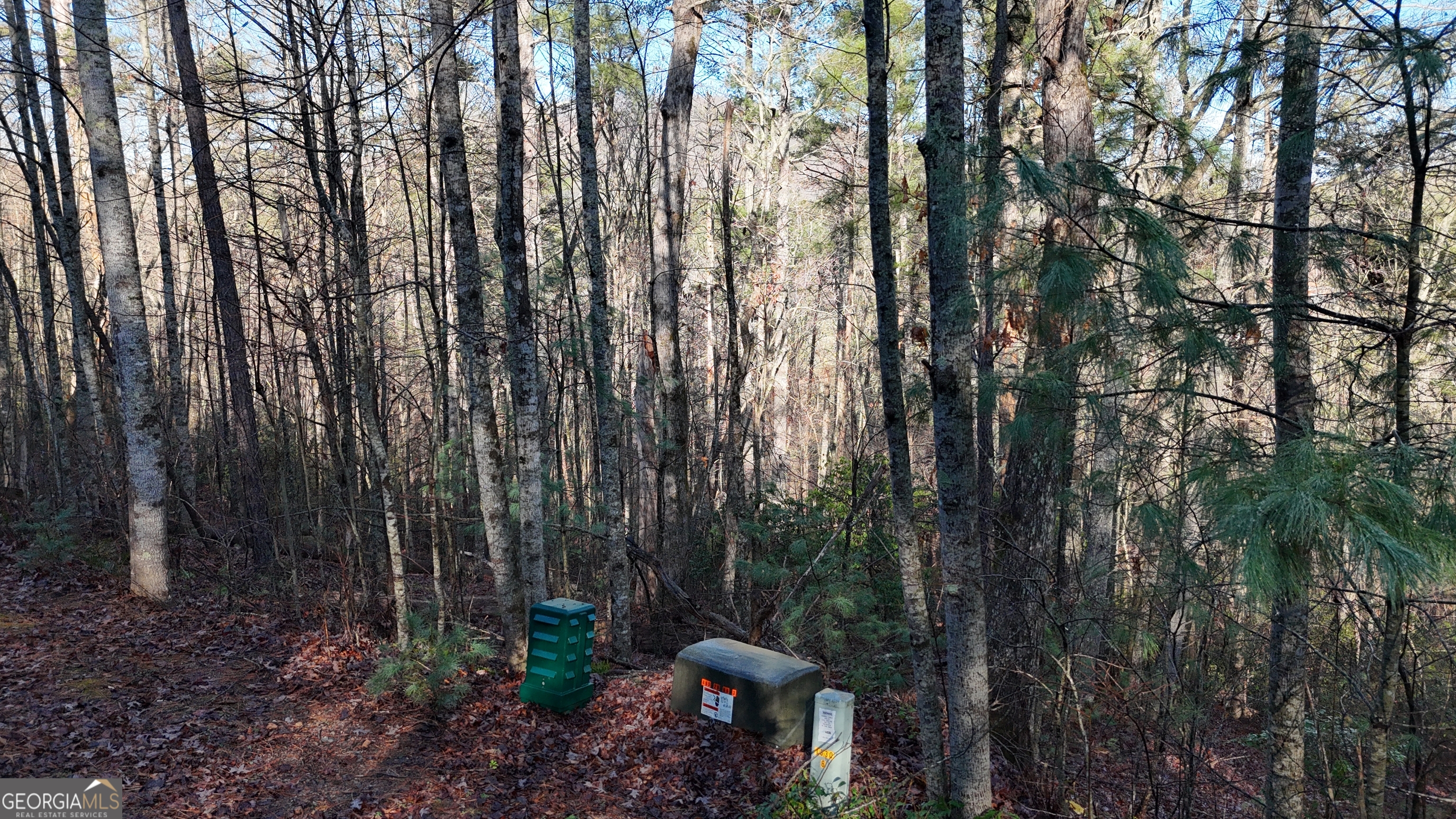 Lot 10 Gold Ditch Road Cleveland, GA 30528 - Photo 5 of 6