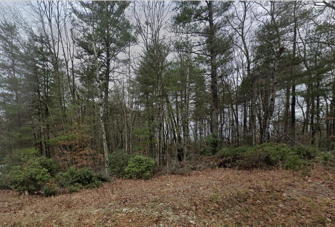 a view of backyard with green space