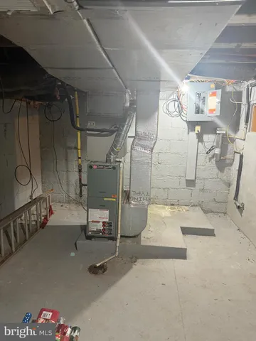 a view of a lush green forest