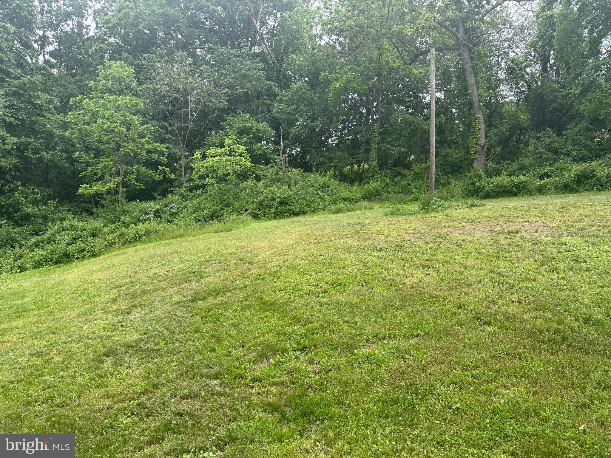 4810 Fake Road York, PA 17406 - Photo 53 of 58 a view of a field with trees in the background