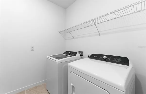 a view of a backyard with plants and large tree