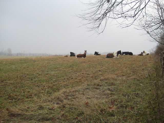 - Kelly Road Coal City, IN 47427 - Photo 3 of 4