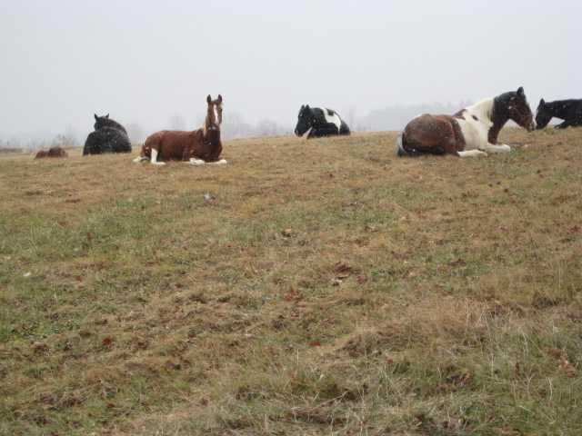 - Kelly Road Coal City, IN 47427 - Photo 4 of 4