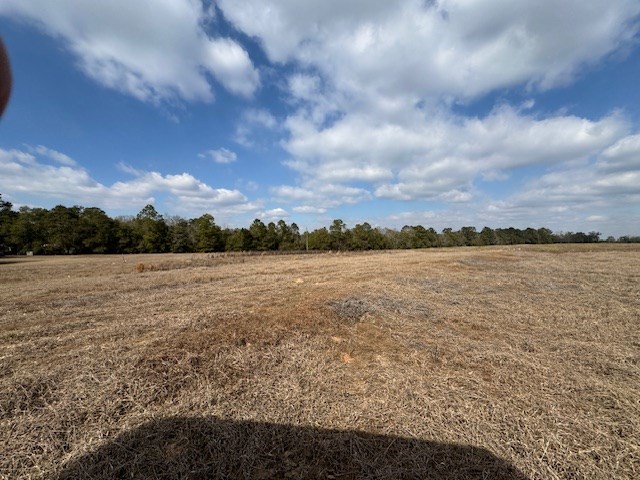 0 County Road 6 Geneva, AL 36340 - Photo 5 of 5