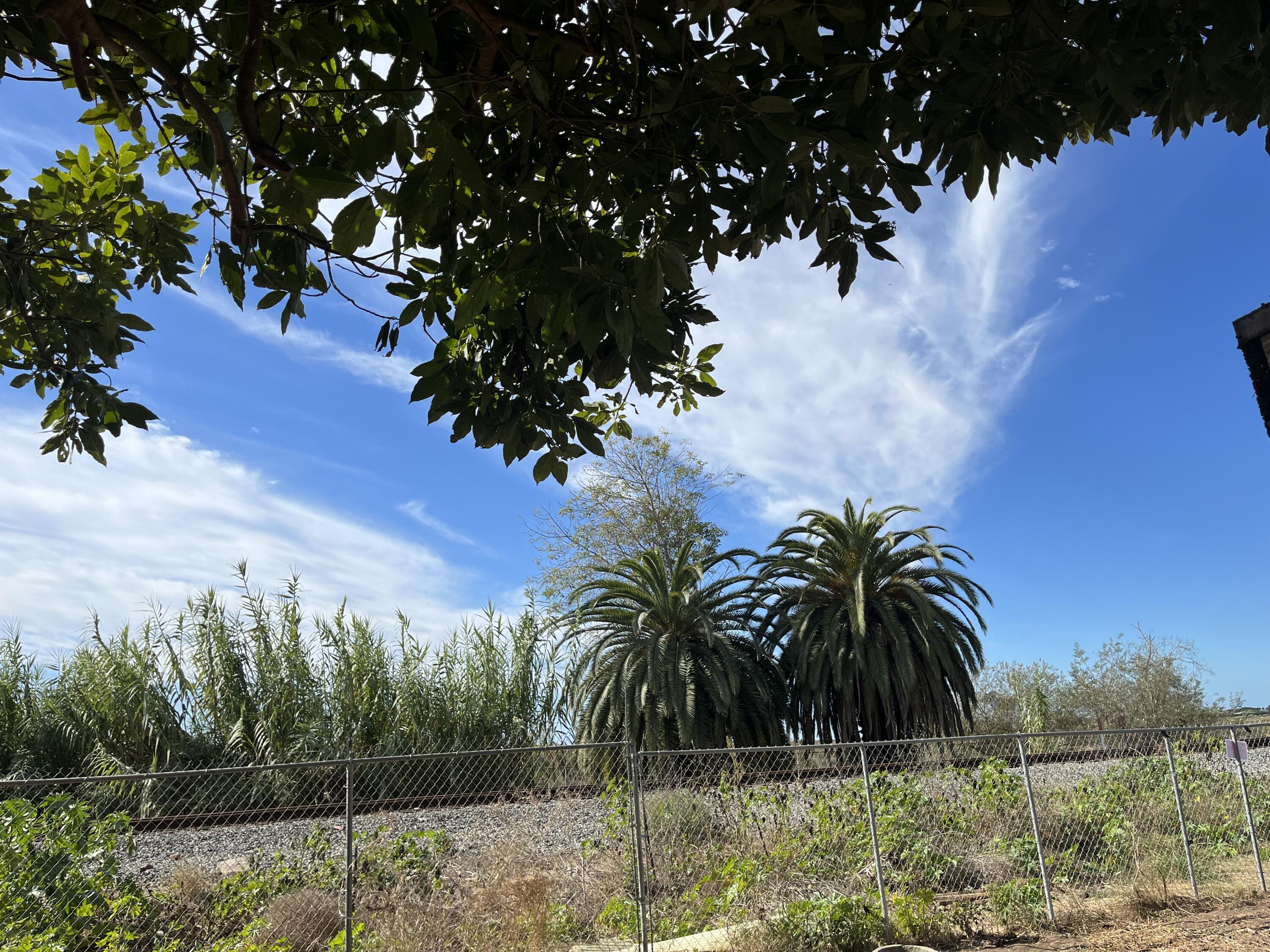 910 Pear Street Carpinteria, CA 93013 - Photo 4 of 6 View towards estuary