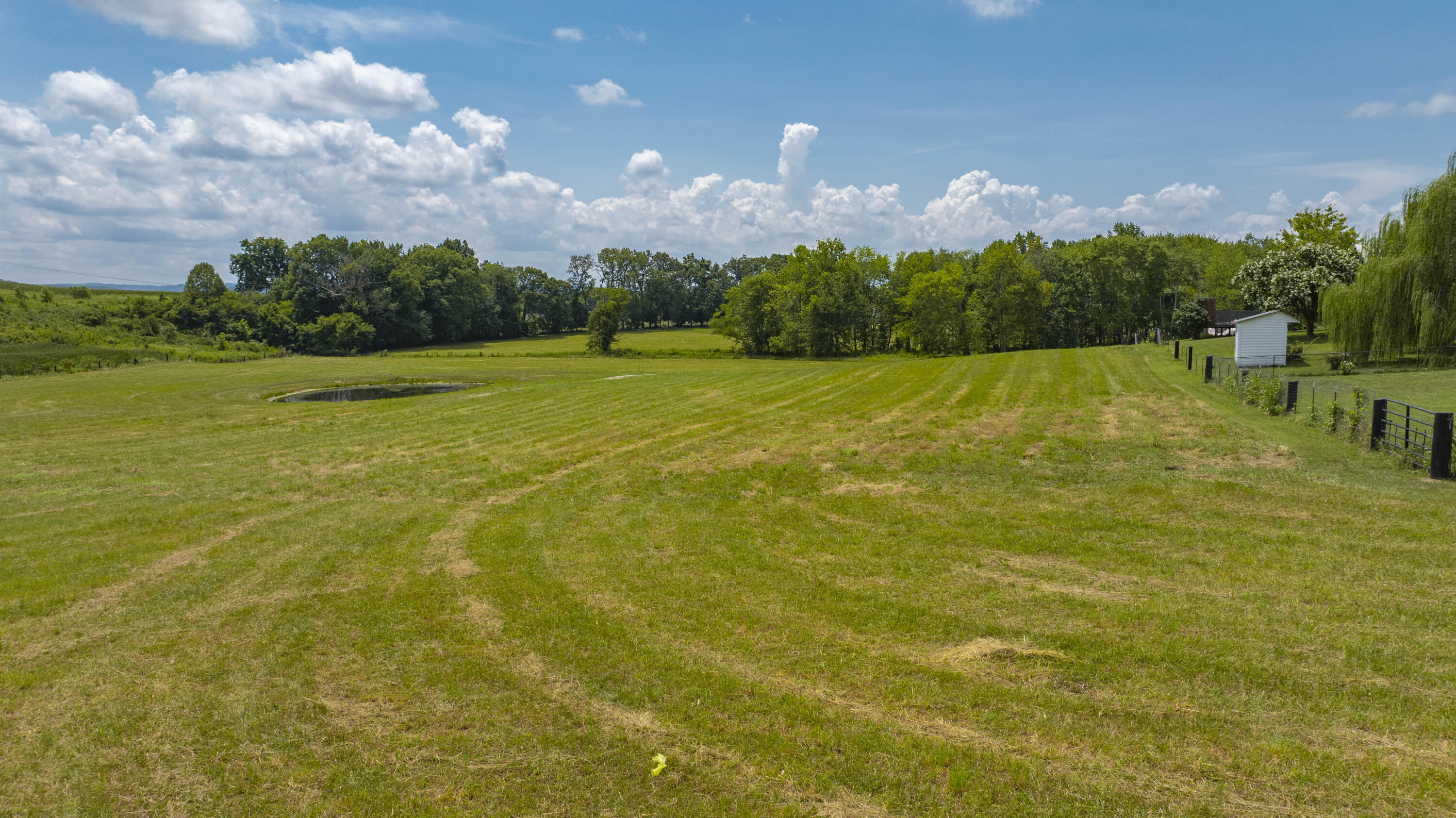 481 Buffalo Trace Road Monticello, KY 42633 - Photo 46 of 51 Buffalo Trace Summer-18