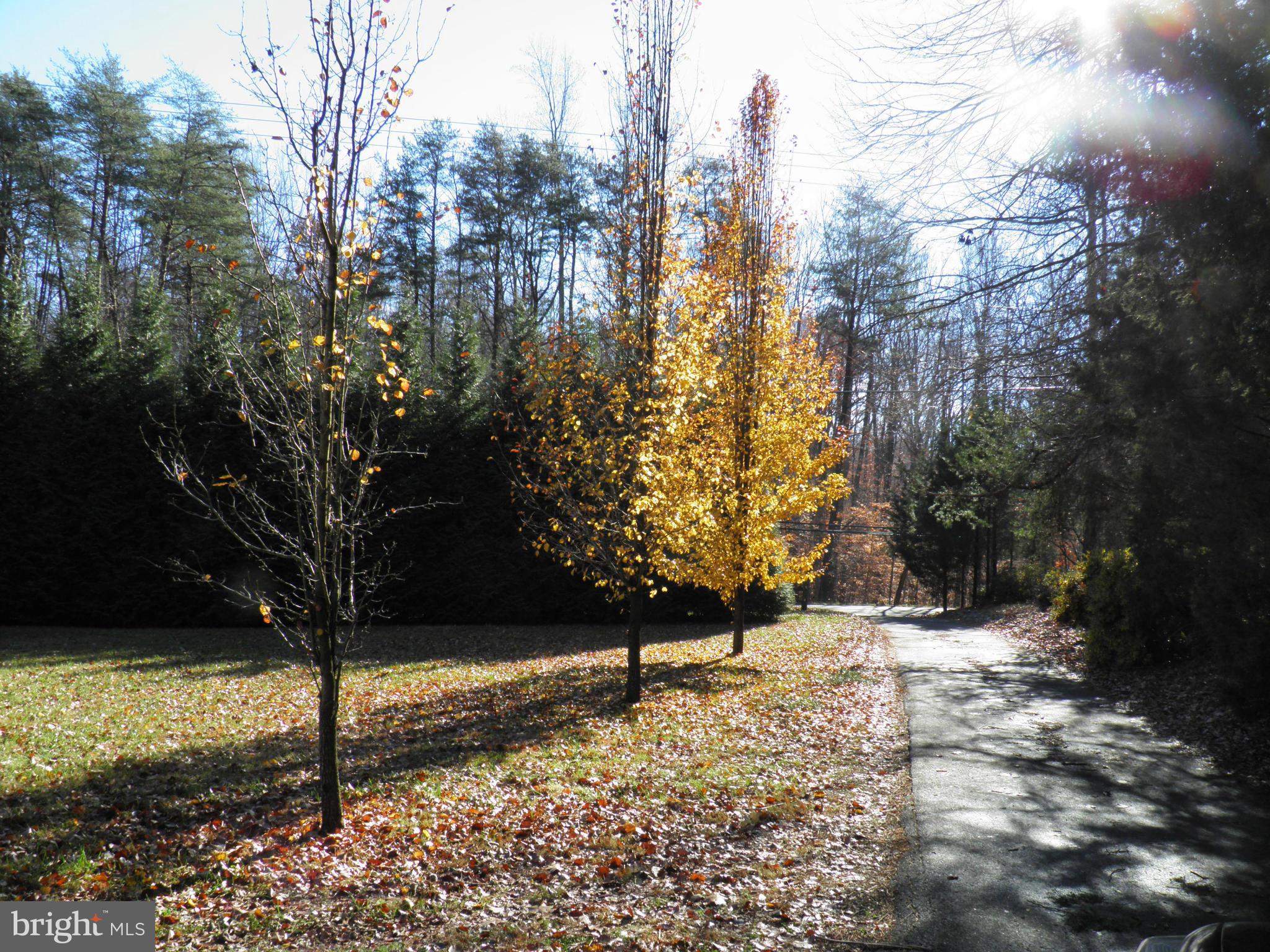 412 Shelton Shop Road Stafford, VA 22554 - Photo 2 of 6 Private Driveway