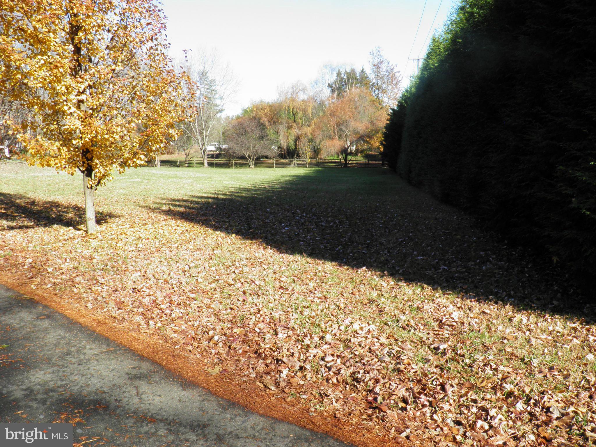 412 Shelton Shop Road Stafford, VA 22554 - Photo 4 of 6 Flat Front Yard-Secluded from the street