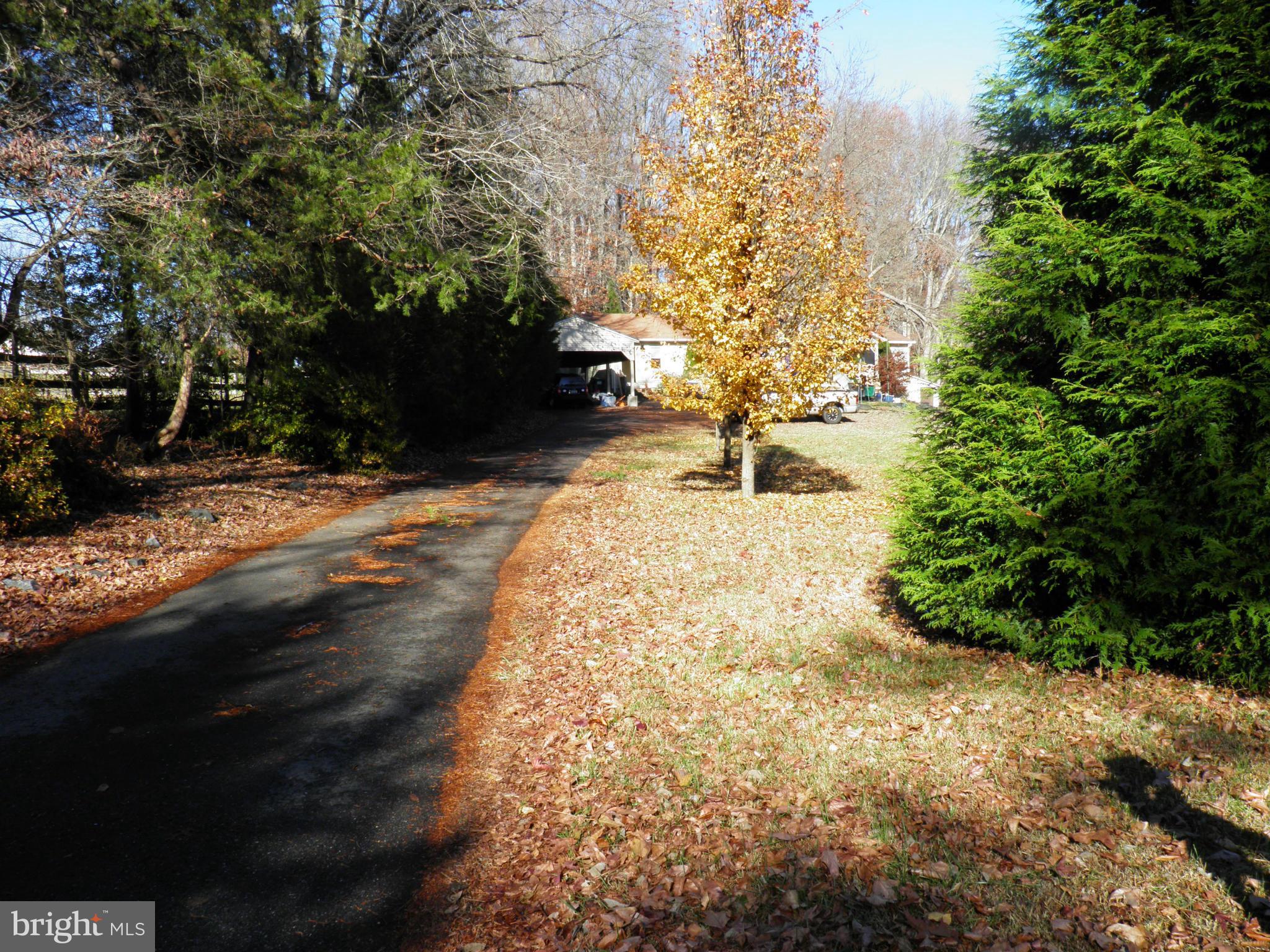 412 Shelton Shop Road Stafford, VA 22554 - Photo 6 of 6 Long Driveway to House from Shelton Shop Road