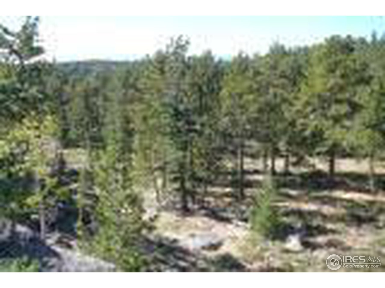 0 Sinissippi Road Red Feather Lakes, CO 80545 - Photo 3 of 5 Gallery Image 3