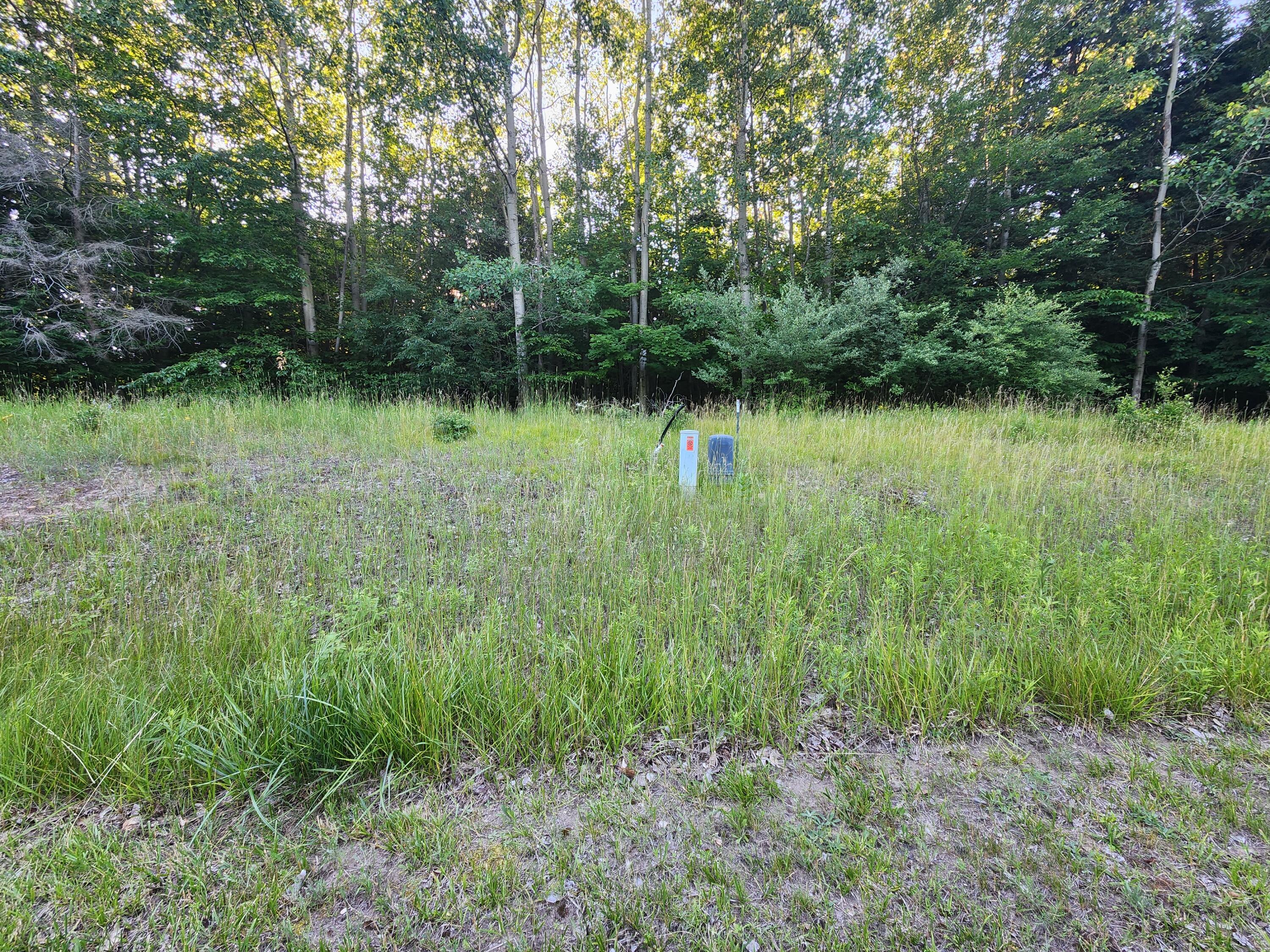9500 Moon Ridge Road, Unit 83 Onekama, MI 49675 - Photo 2 of 9 20260714_193500