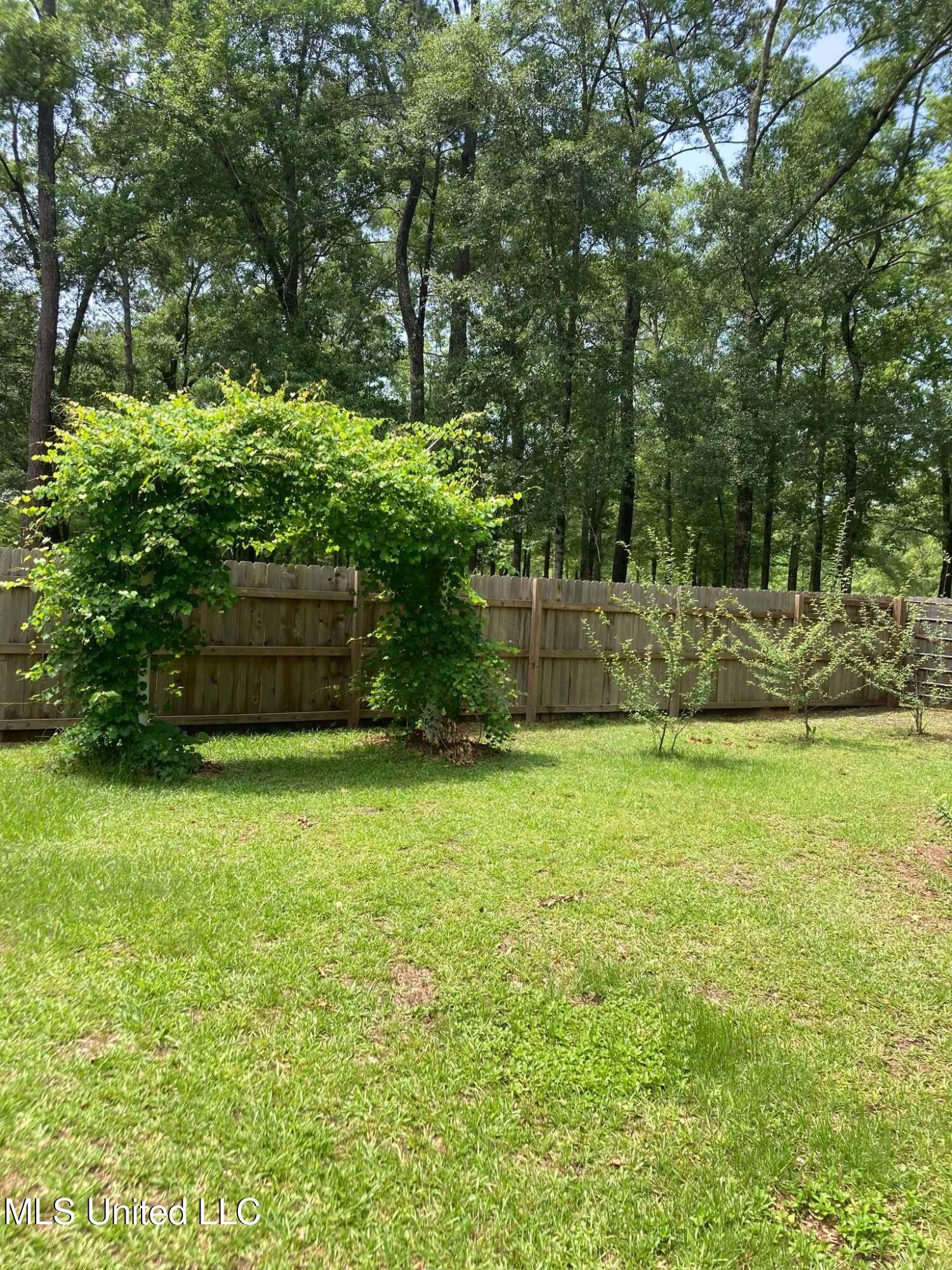 16649 Old River Road Vancleave, MS 39565 - Photo 40 of 44 473540136_594818750095371_81311848717360