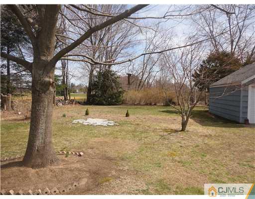 290 Georges Road Dayton, NJ 08810 - Photo 20 of 22 a view of yard covered with snow in front of house