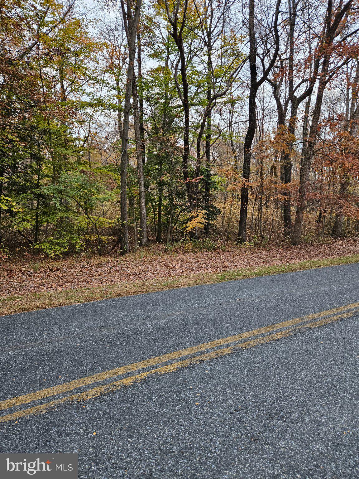 1031 Peters Corner Road Sudlersville, MD 21668 - Photo 4 of 7 Autumn hues along a quiet road.
