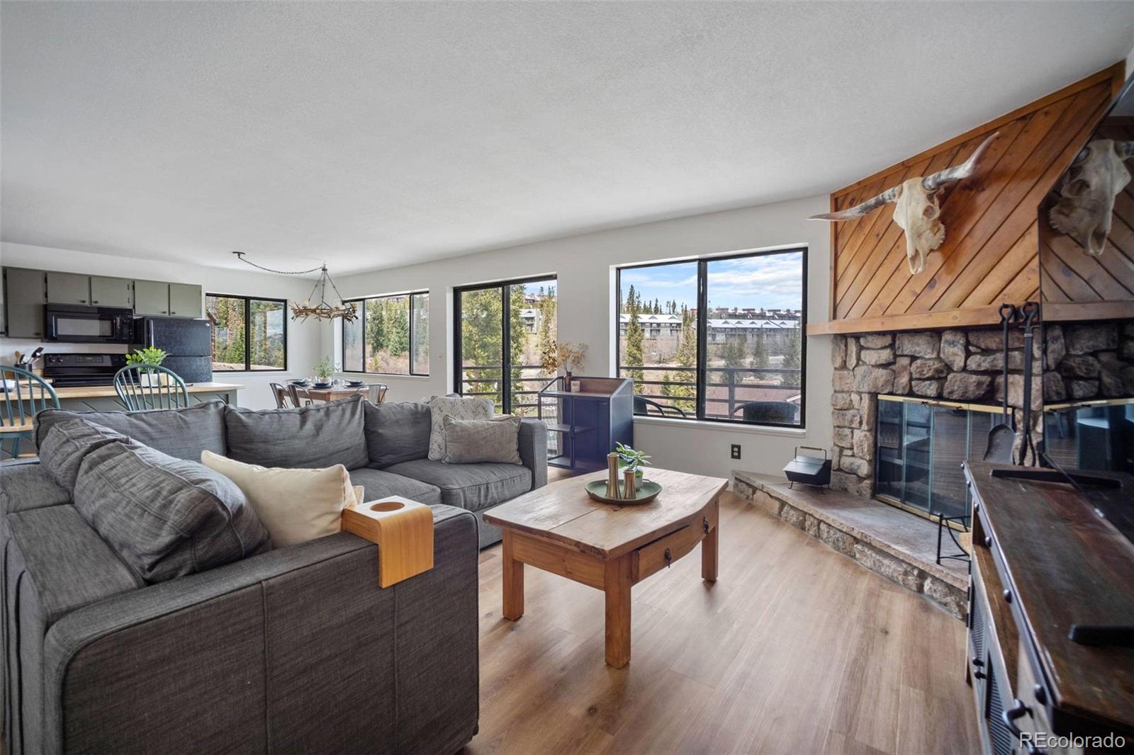 9876 Ryan Gulch Road, Unit 206 Silverthorne, CO 80498 - Photo 4 of 43