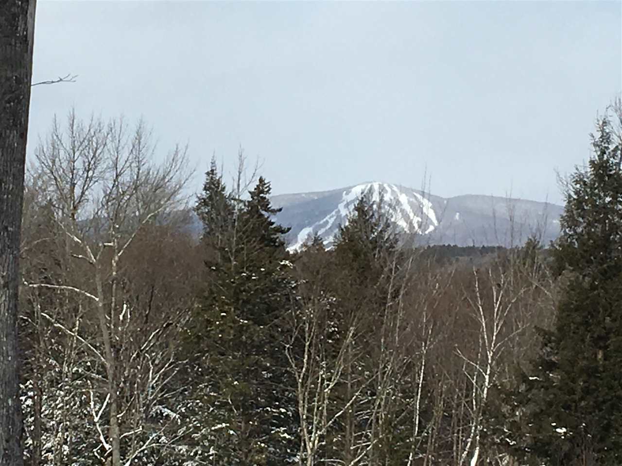 Lot 23-24 Stratton Gardens Road, Unit 23 & 24 Winhall, VT 05340 - Photo 1 of 4 Gallery Image 1