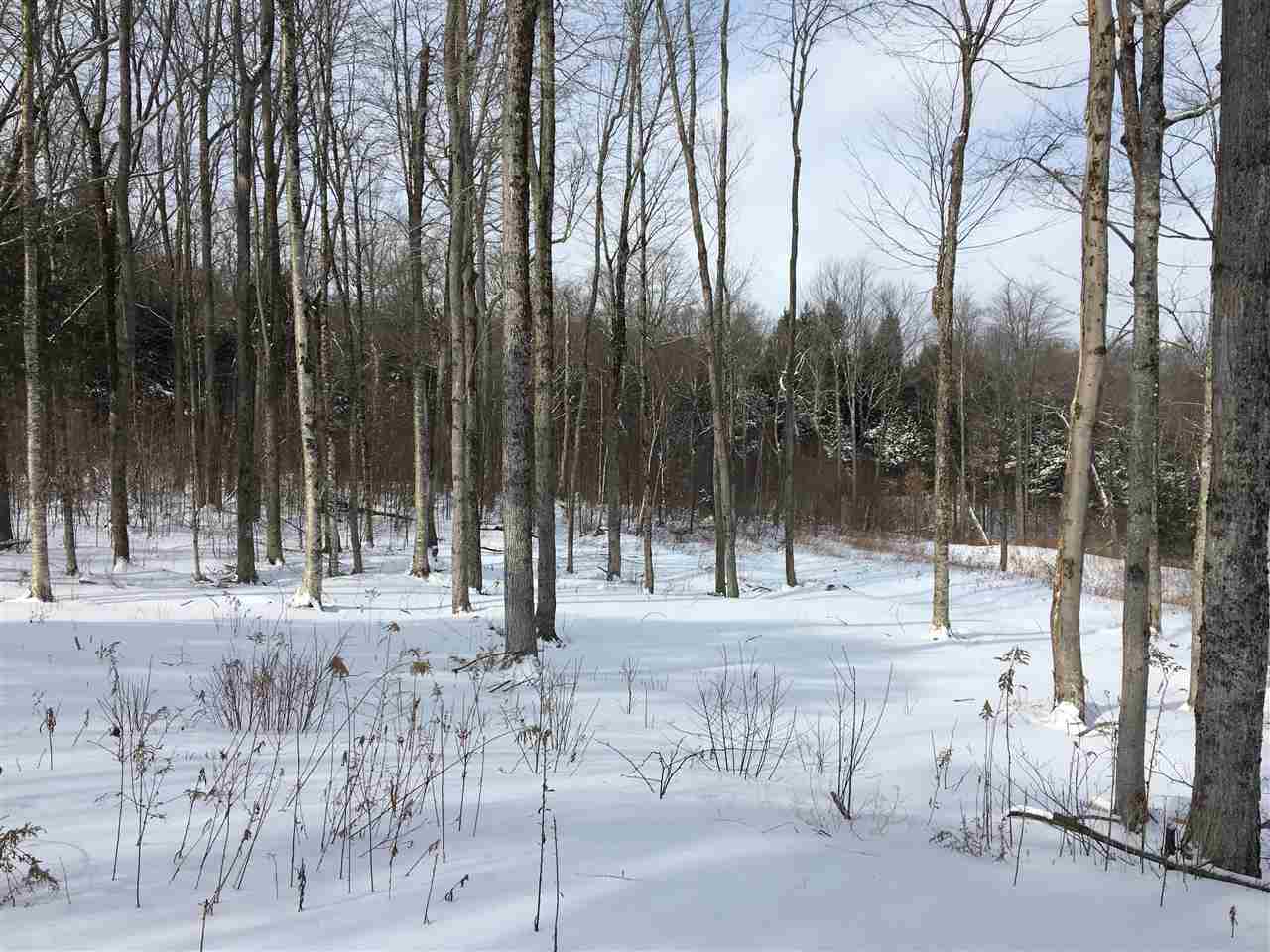 Lot 23-24 Stratton Gardens Road, Unit 23 & 24 Winhall, VT 05340 - Photo 3 of 4 Gallery Image 3