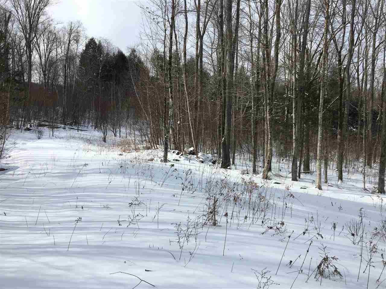 Lot 23-24 Stratton Gardens Road, Unit 23 & 24 Winhall, VT 05340 - Photo 4 of 4 Gallery Image 4