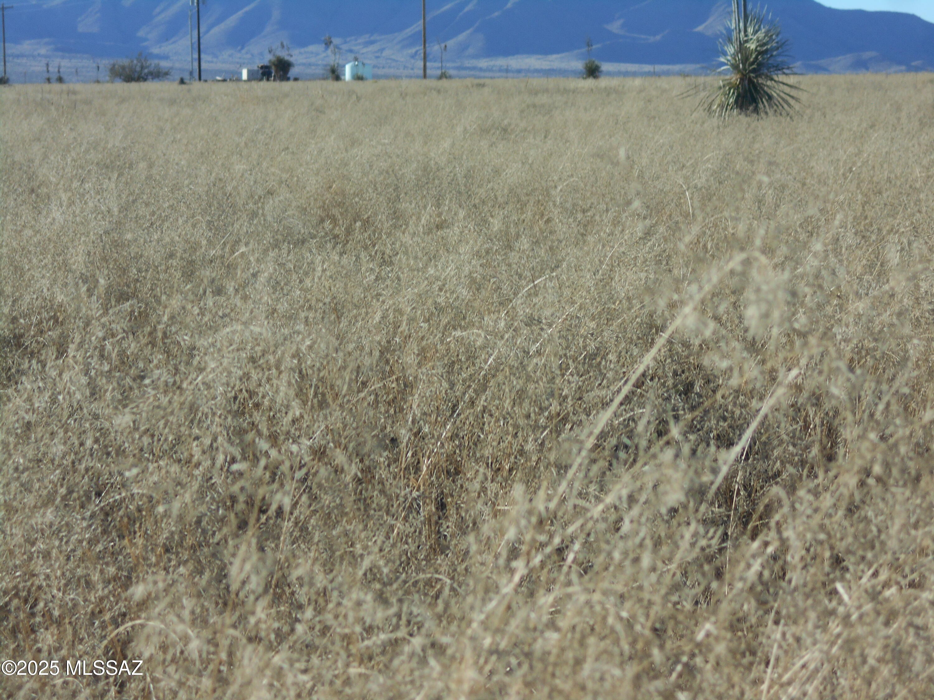4.25-acres Eastland Road, Unit 8 Cochise, AZ 85606 - Photo 28 of 35