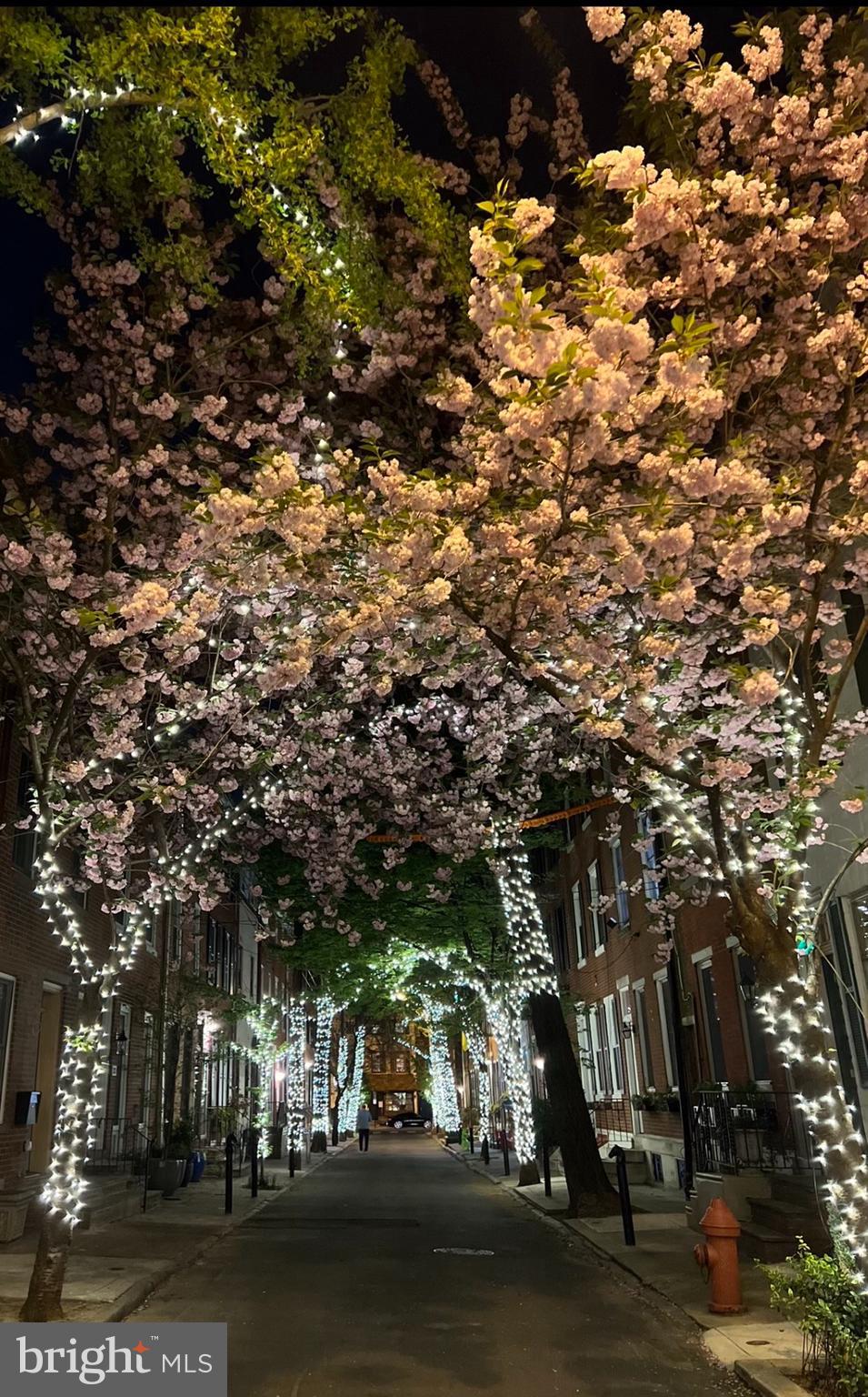 1714 Addison Street Philadelphia, PA 19146 - Photo 3 of 58 Trees lit 365 days a year