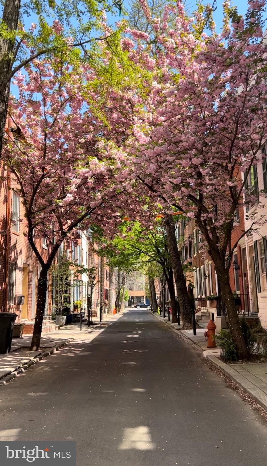 1714 Addison Street Philadelphia, PA 19146 - Photo 52 of 58 Your walk home in the spring!