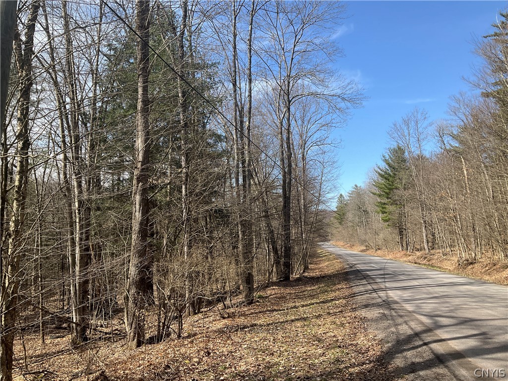 0 Junction Road Bainbridge, NY 13733 - Photo 11 of 16