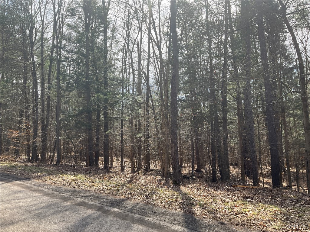 0 Junction Road Bainbridge, NY 13733 - Photo 12 of 16