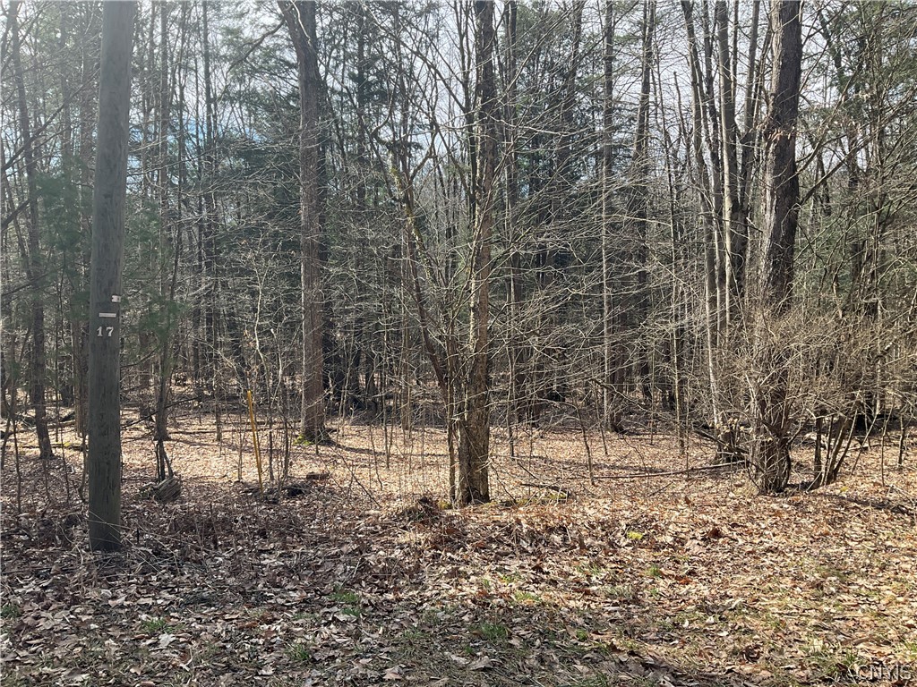 0 Junction Road Bainbridge, NY 13733 - Photo 13 of 16