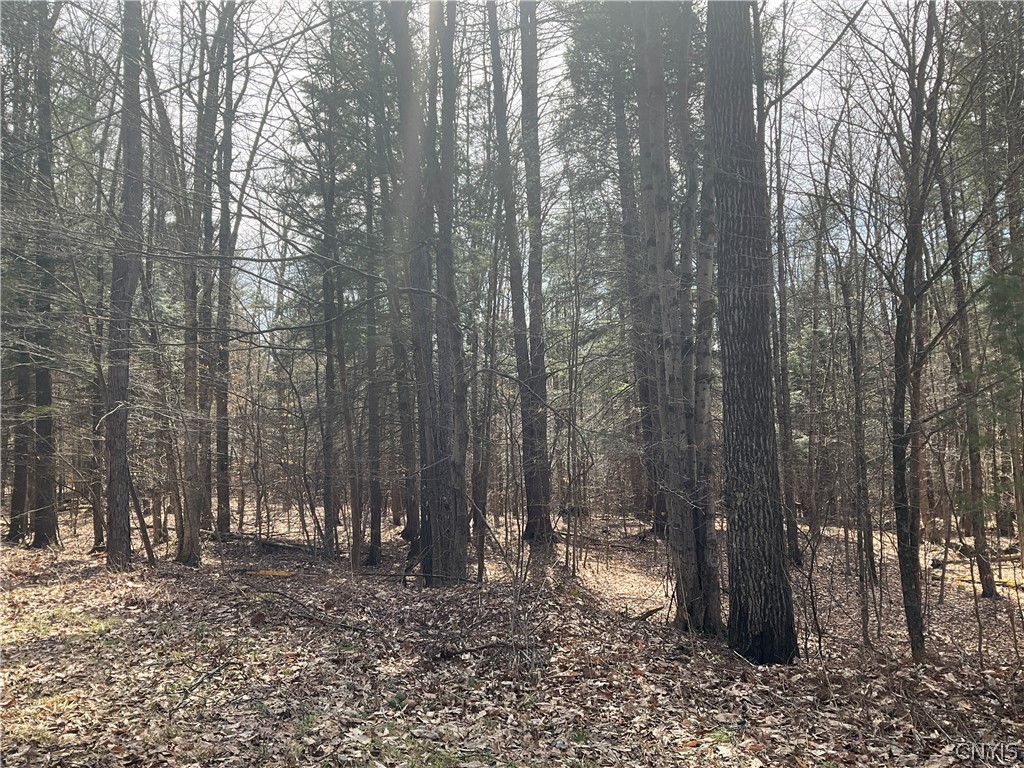 0 Junction Road Bainbridge, NY 13733 - Photo 14 of 16